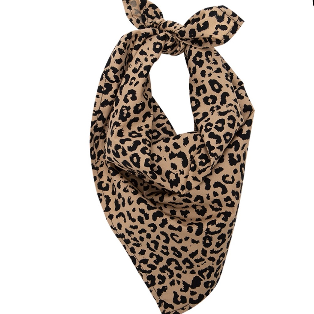 Bandana / Handkerchief